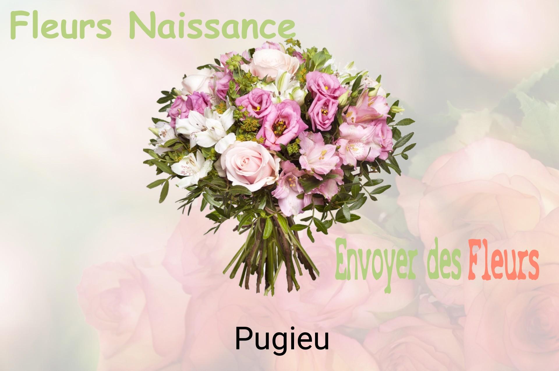 Bouquet de fleurs de naissance livré à Pugieu